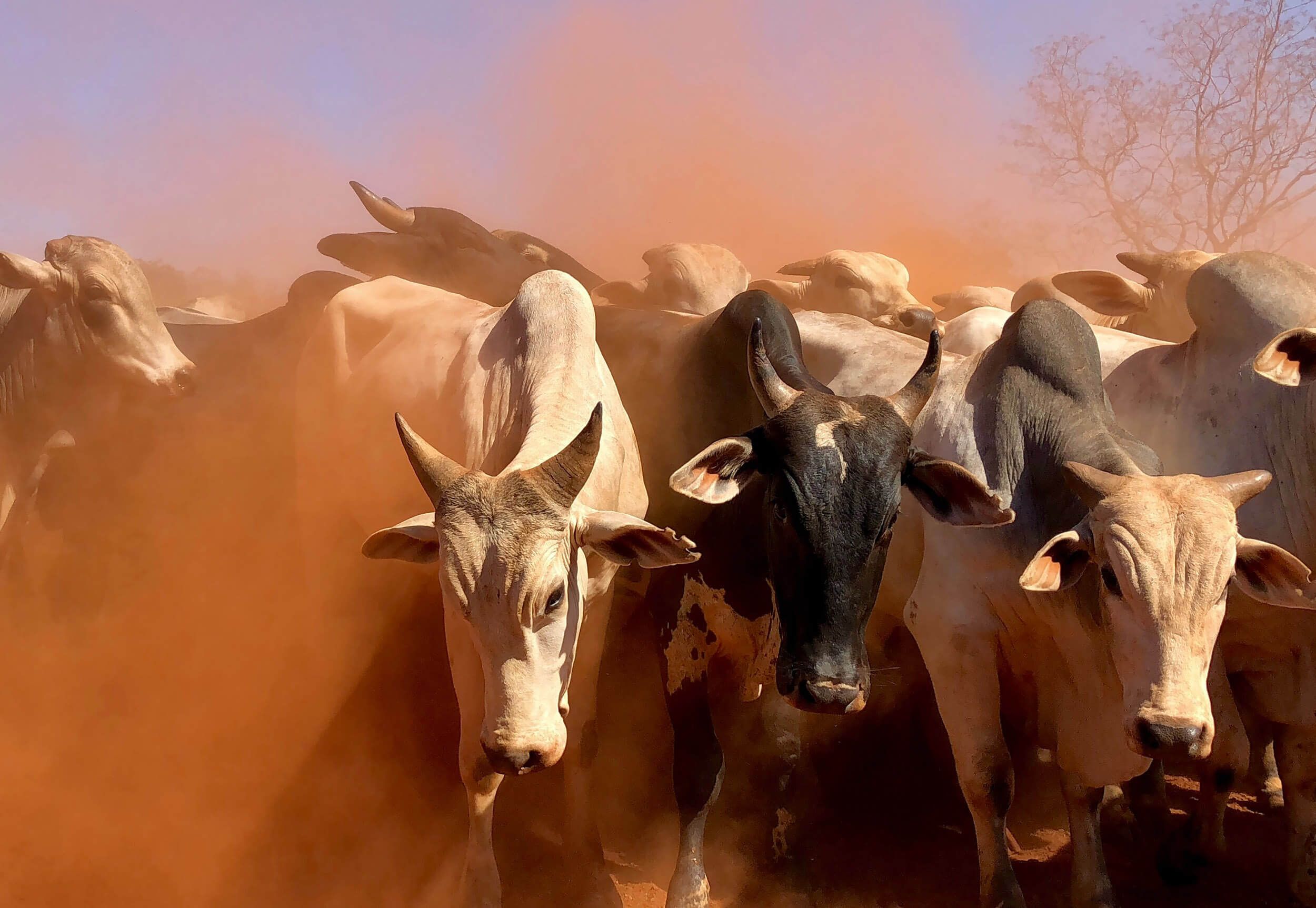 Jahresendbericht 2024